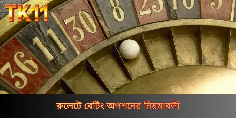 রুলেটে বেটিং অপশনের নিয়মাবলী
